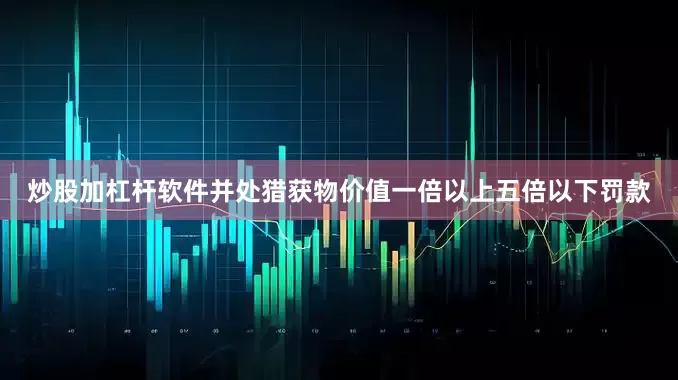 炒股加杠杆软件并处猎获物价值一倍以上五倍以下罚款
