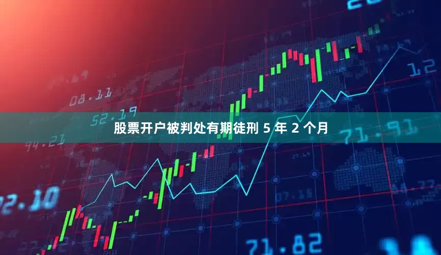 股票开户被判处有期徒刑 5 年 2 个月