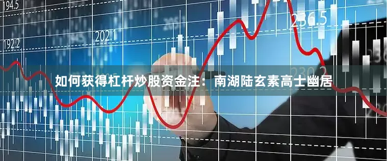 如何获得杠杆炒股资金注：南湖陆玄素高士幽居